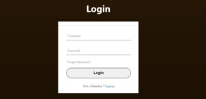 T20 Exchange Login and Registration Process