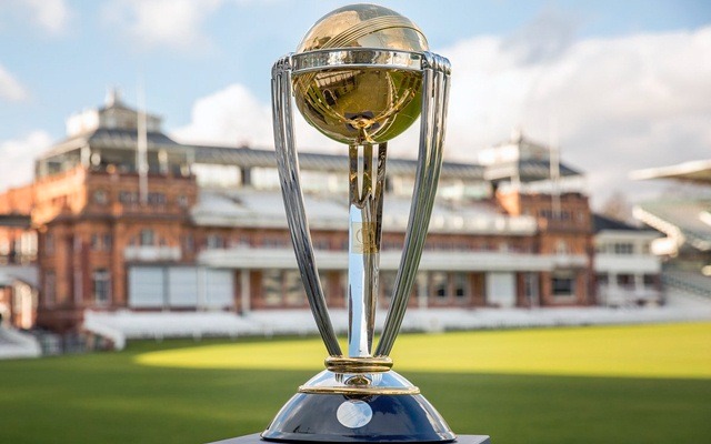 Cricket World Cup trophy price