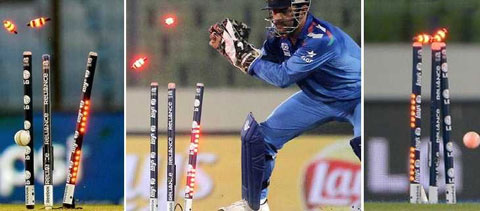 World Cup Stumps Price 2025